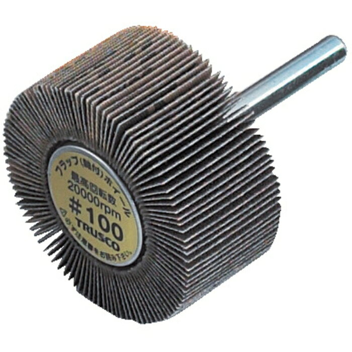 TRUSCO トラスコ中山 TRUSCO　フラップホイル外径φ30×厚み10×軸径6180＃ UF3010 14...