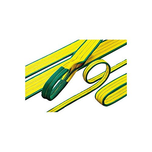 明大 (株) A125X2.0 8221 ロックスリング “シグマ” A-1 25mm×2.0m 3633152