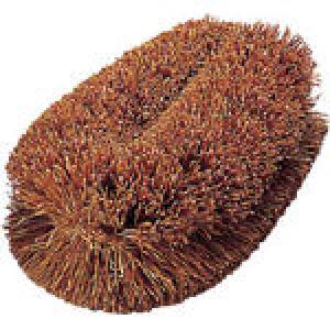 TRUSCO トラスコ中山 トラスコ中山 (株) TWM 8037 TRUSCO ナチュラルブラシ「いがぐり君」140mm 1769774