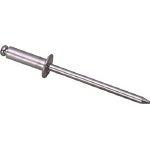 ロブテックス/エビ エビ ブラインドリベット(1000本入) アルミ/アルミ 5-4 NA54 1258575