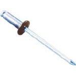 ロブテックス エビ カラーリベット ブロンズ 4-4 1000本入り CNSA44BR 3720683