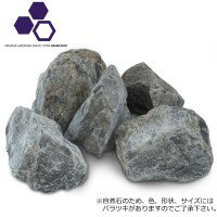 石原 NXstyle ガーデニング用天然石 グランドロック ロックブラック C-BK2 約20kg 9900623 (1065209)