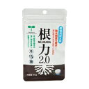 清水 根力2.0 30g