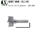 スターエム スターM #13D-300 超硬丁番錐(先三角) 30 #13D-300