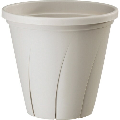 ¥ץ饹å Ϥȭ 6 ۥ磻