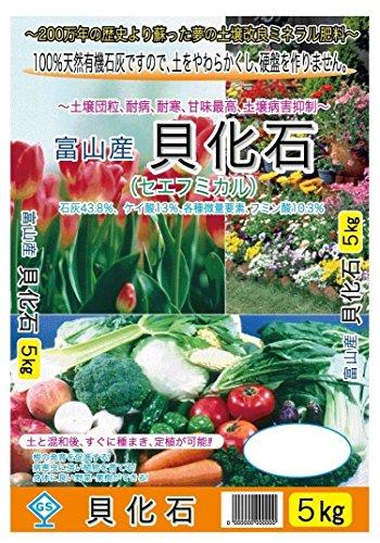 大宮グリーンサービス GS 貝化成(有機石灰) 5kg