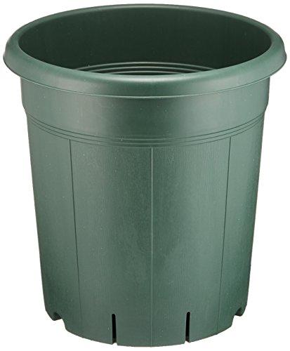 アップルウェアー バラ鉢 10号 グリーン