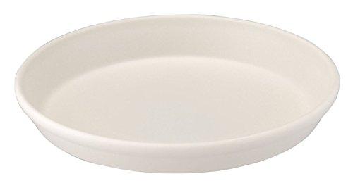 &nbsp;メーカー&nbsp;アップルウェアー&nbsp;商品カテゴリ&nbsp;鉢・プランター用品＞受皿&nbsp;発送目安&nbsp;3日〜4日以内に発送予定（土日祝除）&nbsp;お支払方法&nbsp;銀行振込・クレジットカード&nbsp;送料&nbsp;送料 小型(60)&nbsp;特記事項&nbsp;&nbsp;その他&nbsp;室内やベランダでの水やりが安心です。■サイズ=】W:188(mm)/H:25(mm)/D:188(mm)