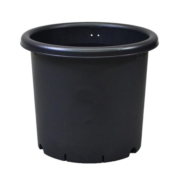 アップルウェアー 菊鉢 6号 ブラック
