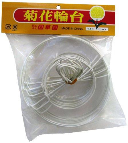 国華園 菊花輪台10P シロ12cm