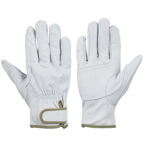 CG7183Lシモン 牛本革手袋 CG7188370652