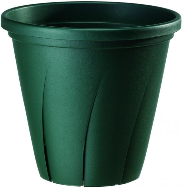 ���¥ץ饹���å� ���Ϥ�ȭ 5�� ���������꡼��