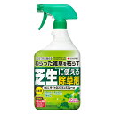 住友化学園芸 HCCザイトロンアミンスプレー液剤 900ml