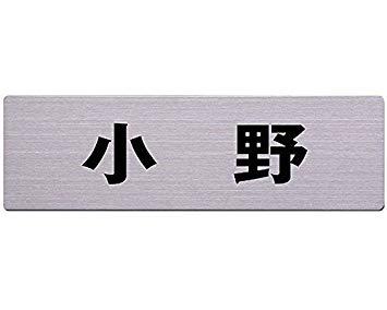 HILOGIC ハイロジック ステン表札 60x200ミリ 小野 カットシート貼テープ付