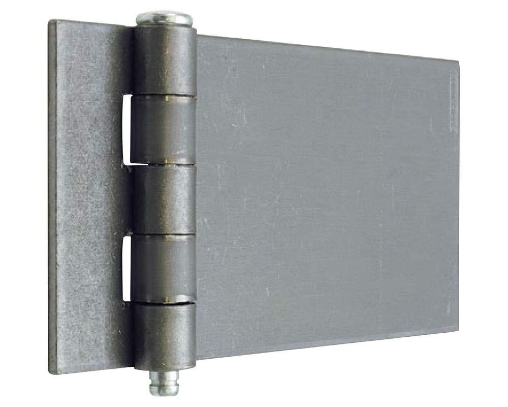 ジョープリンセス竹下 鉄平蝶番 65mm 1個