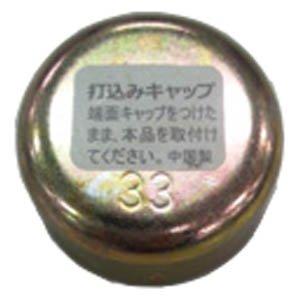 第一ビニール ガーデンアグリパイプ用打込キャップ φ33用