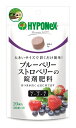 ハイポネックス ブルーベリーストロベリーの錠剤肥料 5g×20錠