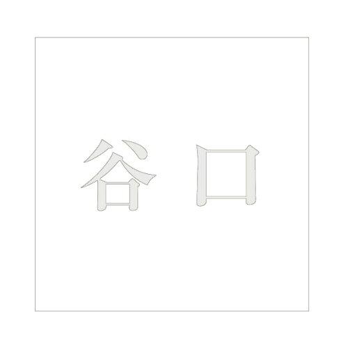 HILOGIC ハイロジック キリモジ 明朝 パールグレー 200×200ミリ用 谷口