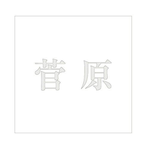 HILOGIC ハイロジック キリモジ 明朝 パールグレー 200×200ミリ用 菅原