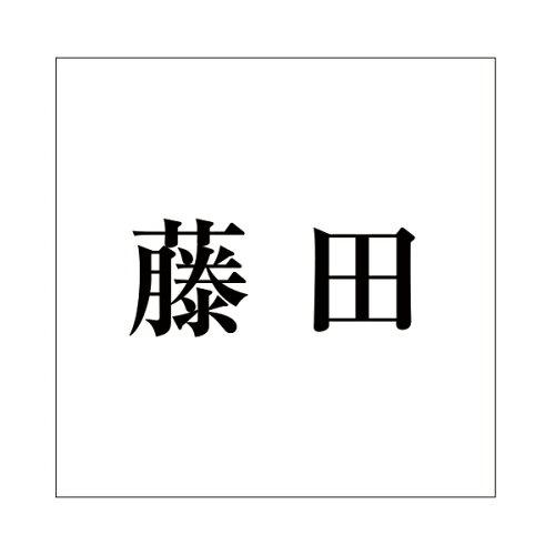 Doorplates - HILOGIC ハイロジック キリモジ 明朝 ブラック 100×100ミリ用 藤田