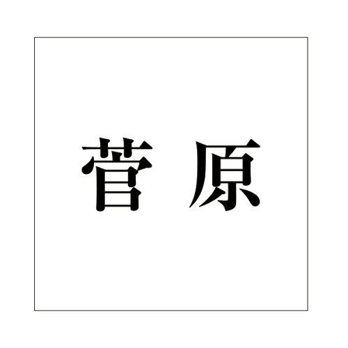 HILOGIC ハイロジック キリモジ 明朝 ブラック 100×100ミリ用 菅原