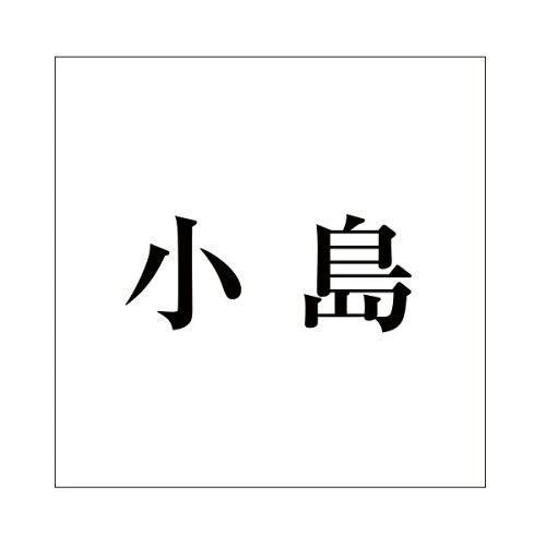 HILOGIC ハイロジック キリモジ 明朝 ブラック 100×100ミリ用 小島