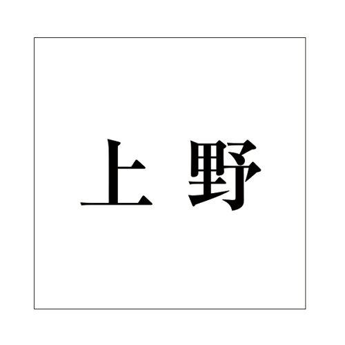 Other - HILOGIC ハイロジック キリモジ 明朝 ブラック 160×160ミリ用 上野
