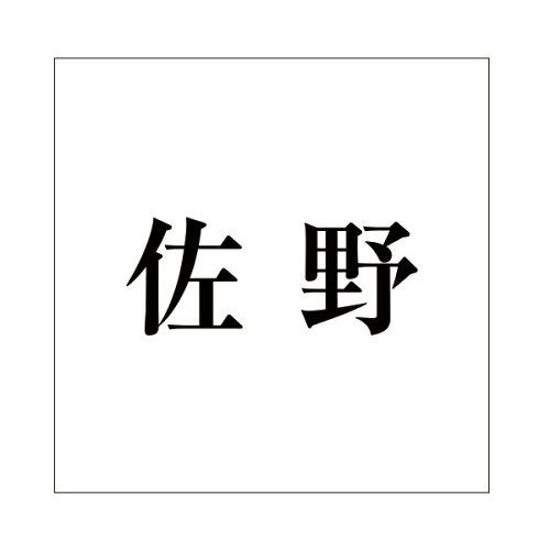 ハイロジック キリモジ 明朝 ブラック 160×160ミリ用 佐野