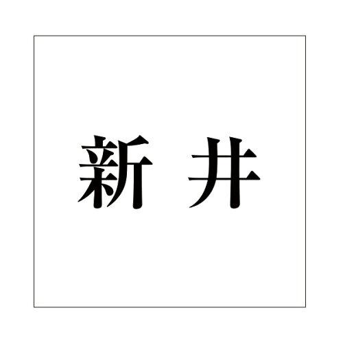 HILOGIC ハイロジック キリモジ 明朝 ブラック 160×160ミリ用 新井
