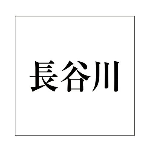 HILOGIC ハイロジック キリモジ 明朝 ブラック200×200ミリ用 長谷川