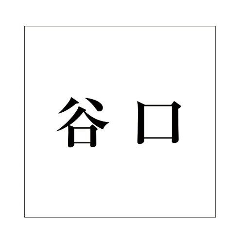 HILOGIC ハイロジック キリモジ 明朝 ブラック 200×200ミリ用 谷口