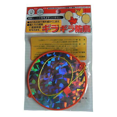 ECJOYץߥŷԾŹ㤨֥ѥ ѥ 饮Ļ1߲ 9.5cmפβǤʤ213ߤˤʤޤ