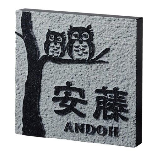 ʡĦ ɽ�� ��������ץ饹 ���ߥ��� FS6-502 (1622489)