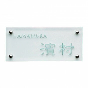 ʡĦ ɽ�� ���ꥢ�����饹 GPL-317 (1622673)