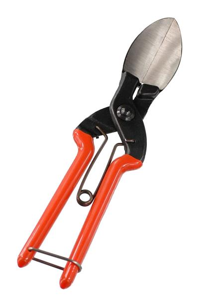 諏訪田製作所 かぼちゃ収穫鋏「かぼちゃん」硬い軸も楽々切れる！ にんにく、玉ねぎのひげ根切りにも便利