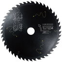 HiKOKI(ハイコーキ) 丸のこ用チップソー 外径165mm スーパーチップソー黒鯱(クロシャチ) 0037-5953 外径165、穴径20、刃数45 集成材・一般木材用