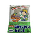 トーヨーマテラン トーヨー 早強インスタントセメント 4kg(4)