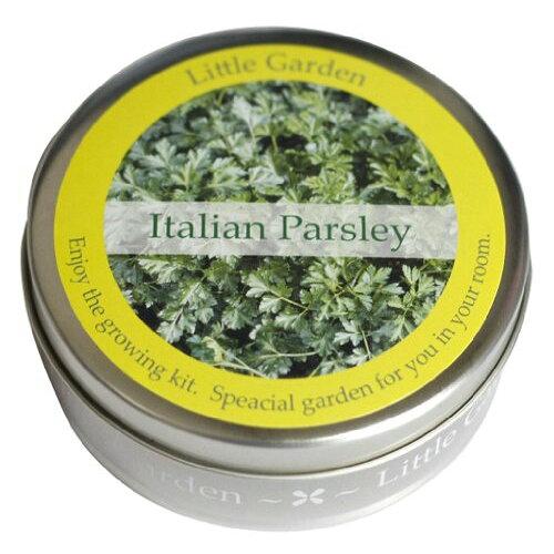 ナガクラ newリトルガーデン パセリ LG-45