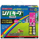 レインボー薬品 シバキーププラスV 4kg