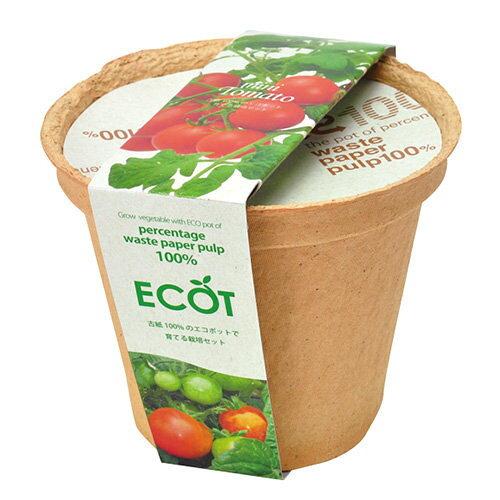 聖新陶芸 エコットM ミニトマト