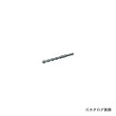 ハウスビーエム BM BL-3.0 コンクリートドリル BL (ロング) BL-3.0(4)