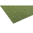 IRISOHYAMA アイリスオーヤマ 防草人工芝 2X5m BP-3025 BP-3025