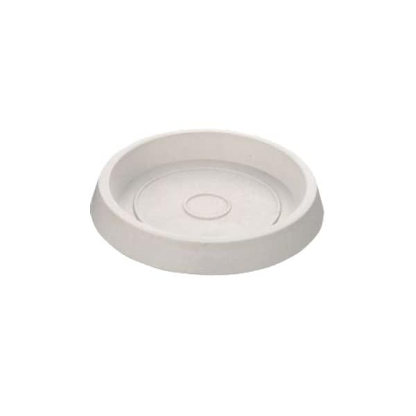 リッチェル 第一営業部 リッチェル ボタニー プレート 10型 ホワイト(W)