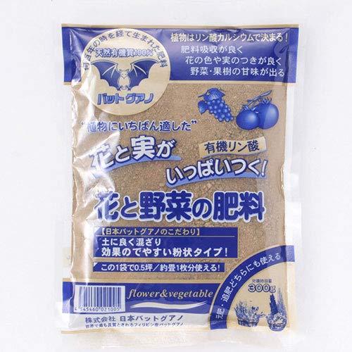 ���ܥХåȥ����� ͭ�����������Хåȥ����� 300g