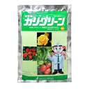 農薬 OATアグリオ カリグリーン 500g