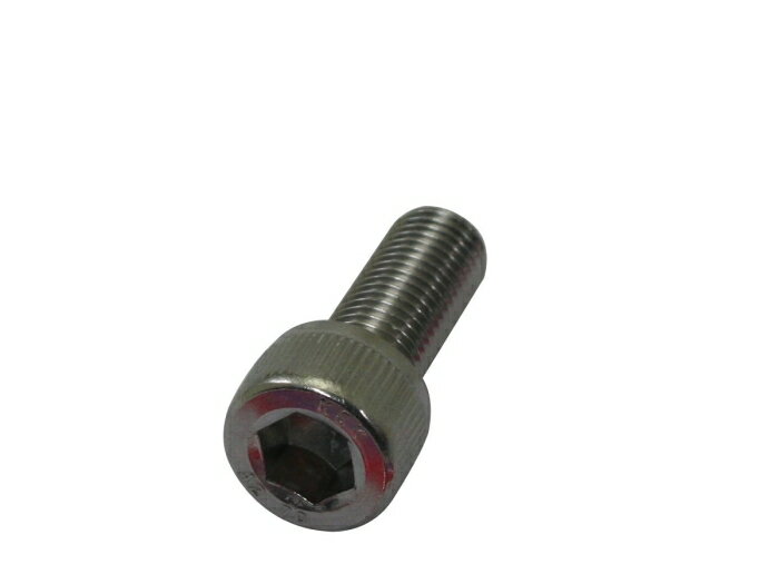 クリエイティブファクトリーポッシュ SUSSTDキャップボルト 821660-025 M10X25.1PC