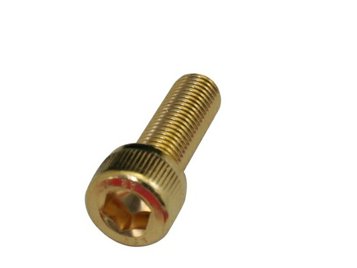 クリエイティブファクトリーポッシュ 24KメッキSUSキャップボルト 811660-030 M10X30.1PC