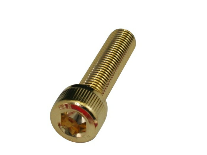クリエイティブファクトリーポッシュ 24KメッキSUSキャップボルト 811660-040 M10X40.1PC