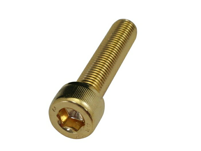 クリエイティブファクトリーポッシュ 24KメッキSUSキャップボルト 811660-045 M10X45.1PC