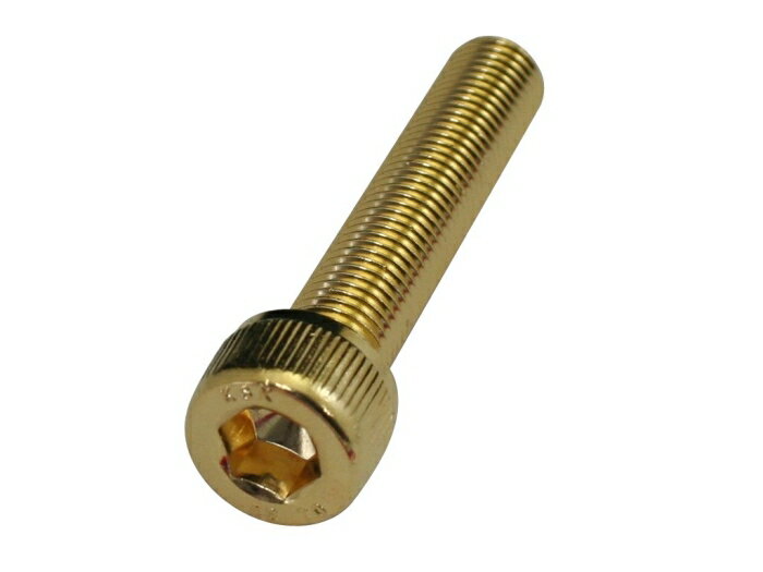 クリエイティブファクトリーポッシュ 24KメッキSUSキャップボルト 811660-050 M10X50.1PC